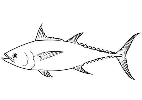 Longtail Tuna (Thunnus Tonggol) Coloring Page